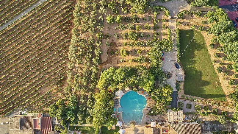 Sa Vinya Des Convent Agroturismo Inca  Buitenkant foto